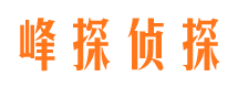 平顶山市私家侦探